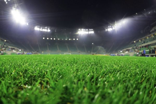 The guide to choose a bookmaker for Long-Term Betting