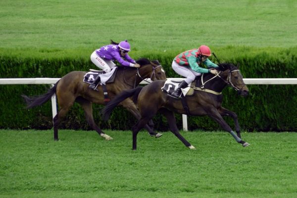 The Benefits Of Long Term Betting In Horse Racing